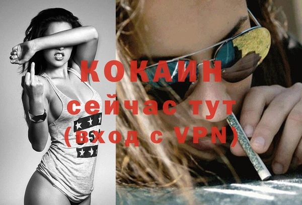 прущие грибы Мегион
