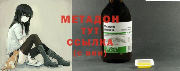 прущие грибы Мегион
