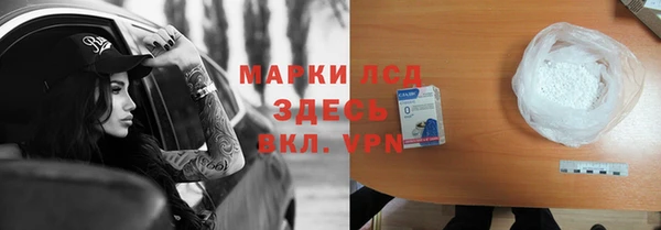 прущие грибы Мегион