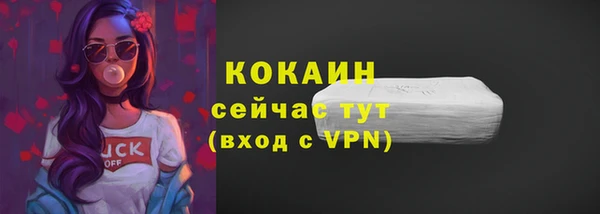прущие грибы Мегион