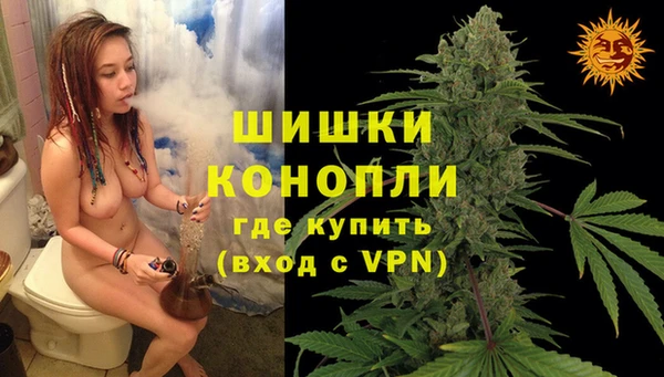 прущие грибы Мегион