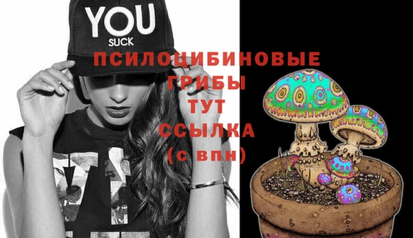 ешки Майский