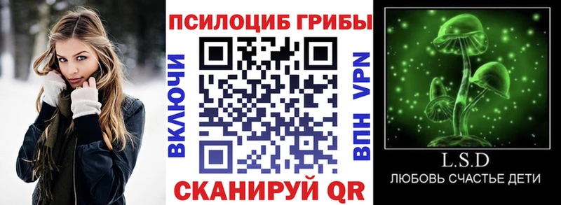 кракен онион  Котово  Псилоцибиновые грибы Cubensis  сколько стоит 