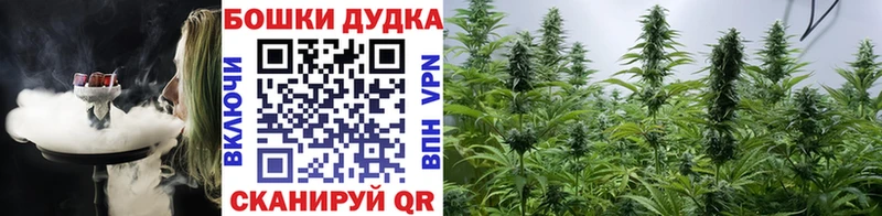закладки  Котово  Бошки Шишки гибрид 